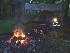 Campsite